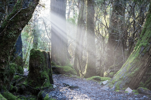 Tasmanian solar installation in northwestern Tasmania.