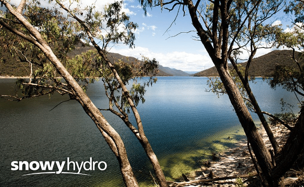 Snowy Hydro backs wind and solar to reduce energy prices.