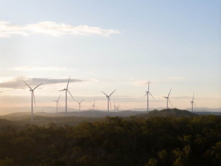 qld renewable energy