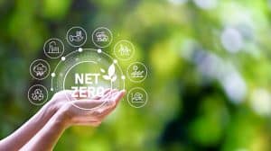 net zero economy